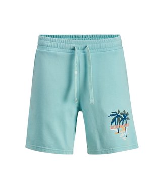 Jack & Jones Junior JJITROPICANA SWEAT SHORTS GMS JR