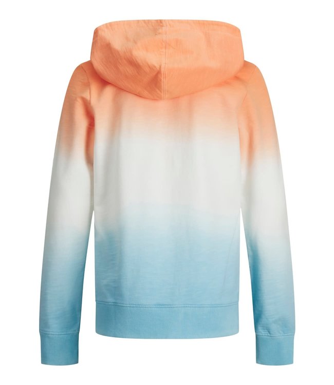Jack & Jones Junior JORALOHA SWEAT HOOD JR