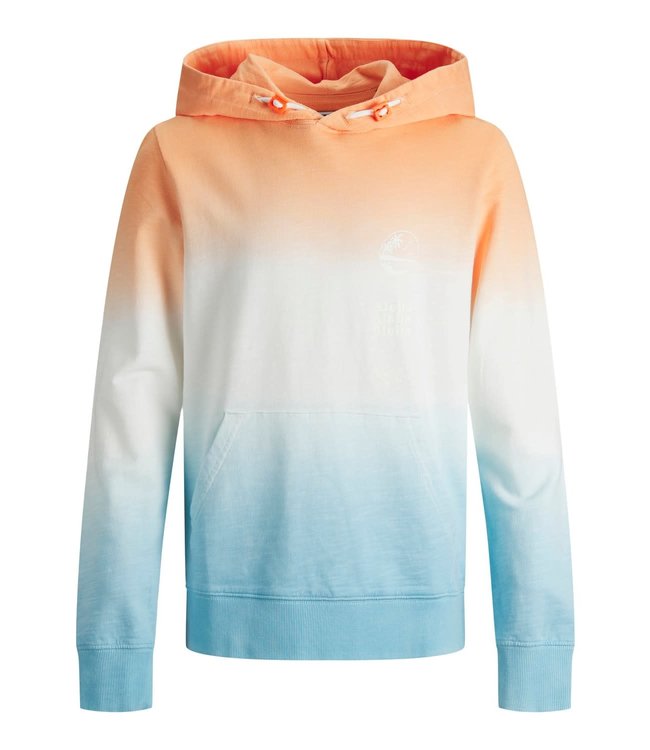 Jack & Jones Junior JORALOHA SWEAT HOOD JR