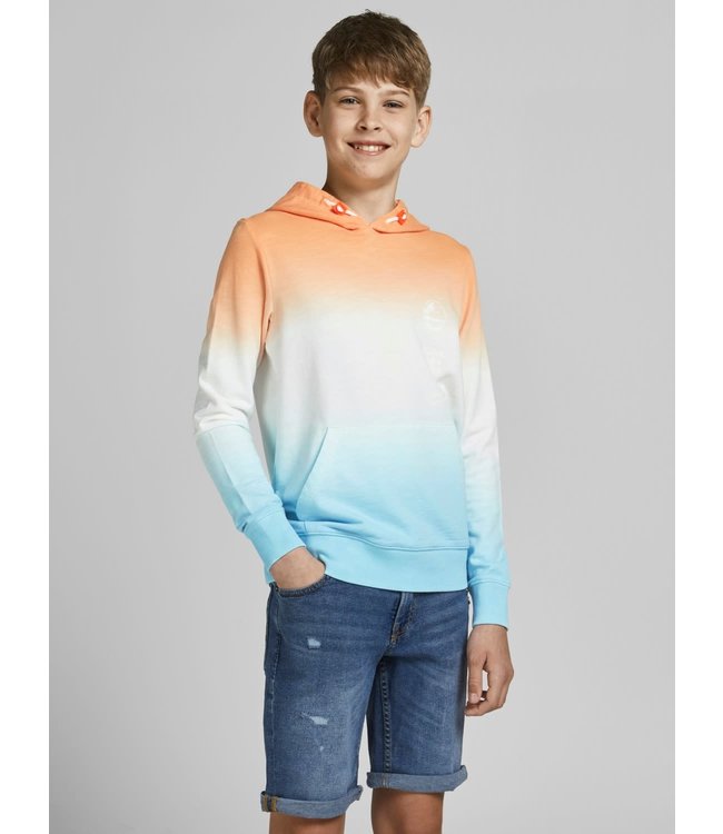 Jack & Jones Junior JORALOHA SWEAT HOOD JR