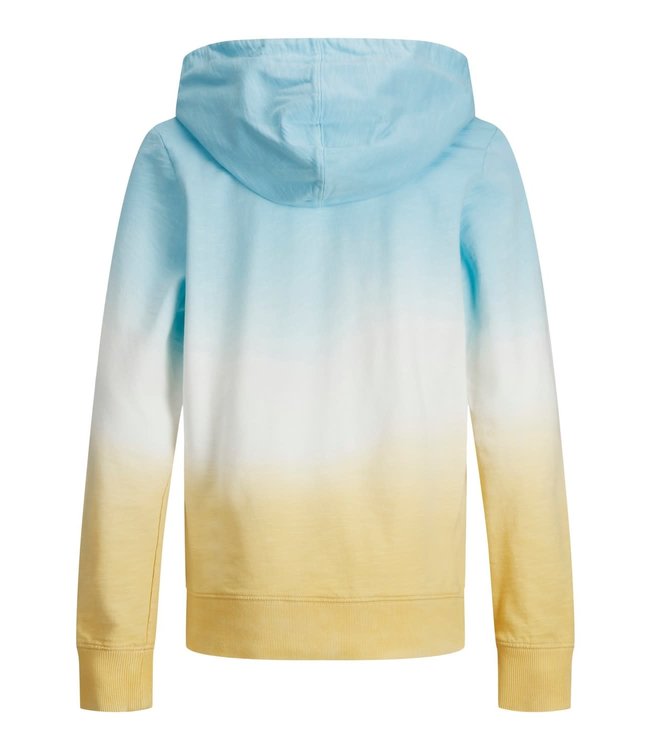 Jack & Jones Junior JORALOHA SWEAT HOOD JR