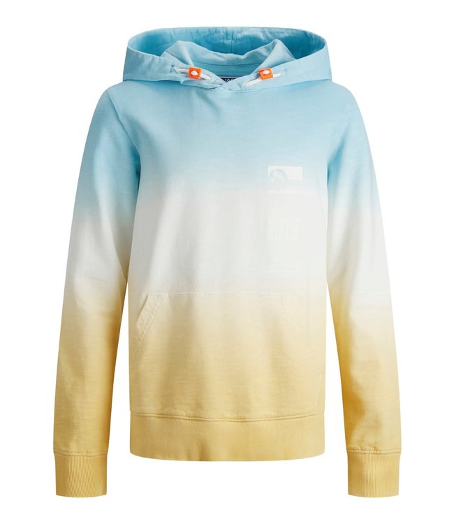 Jack & Jones Junior JORALOHA SWEAT HOOD JR