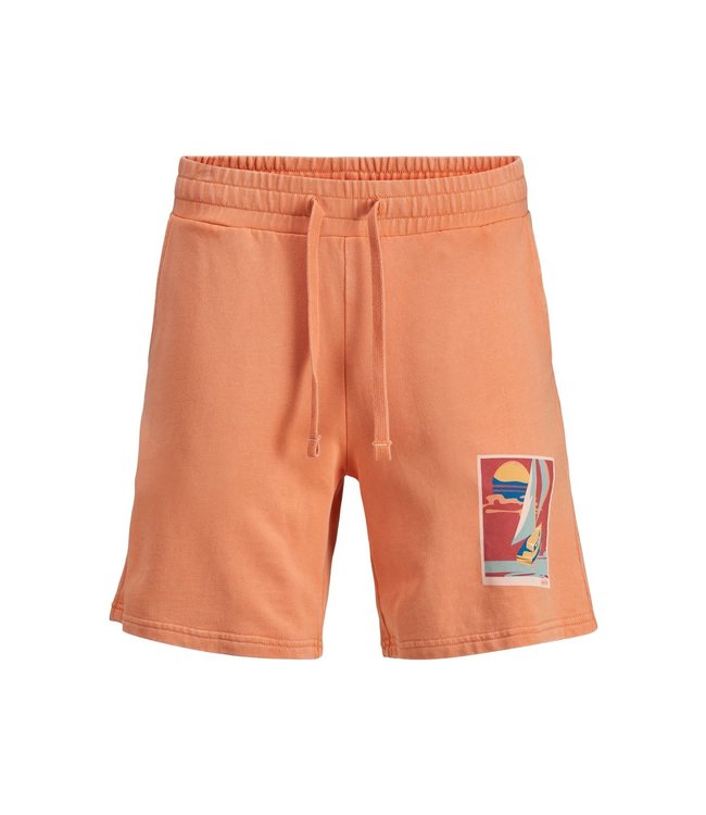 Jack & Jones Junior JJITROPICANA SWEAT SHORTS GMS JR