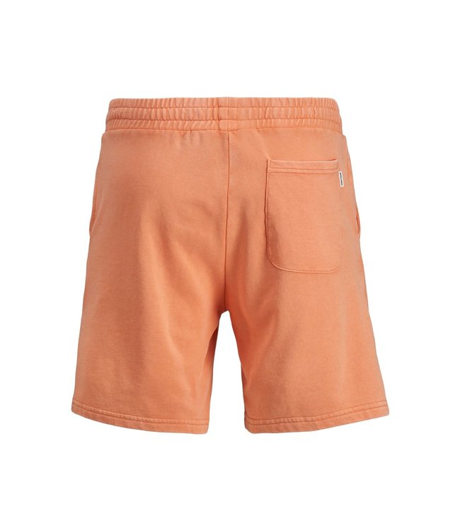 Jack & Jones Junior JJITROPICANA SWEAT SHORTS GMS JR