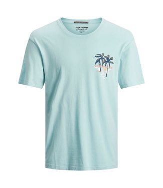 Jack & Jones Junior JORTROPICANACARD TEE SS CREW NECK JR