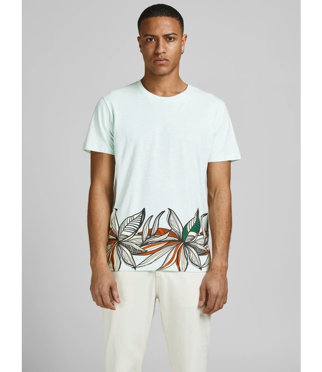 Jack & Jones JPRBLAGOA PLACEMENT SS TEE