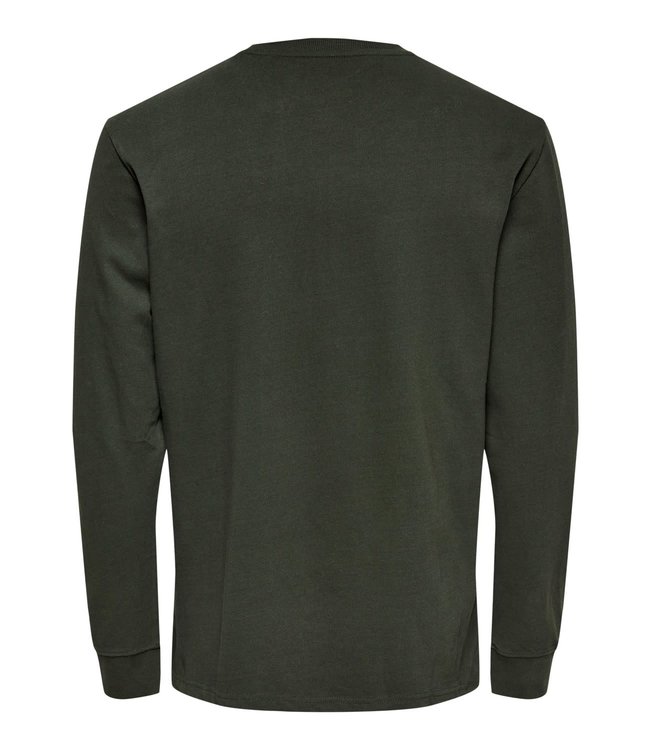 Only & Sons ONSDAMON LIFE REG LS NF 9925