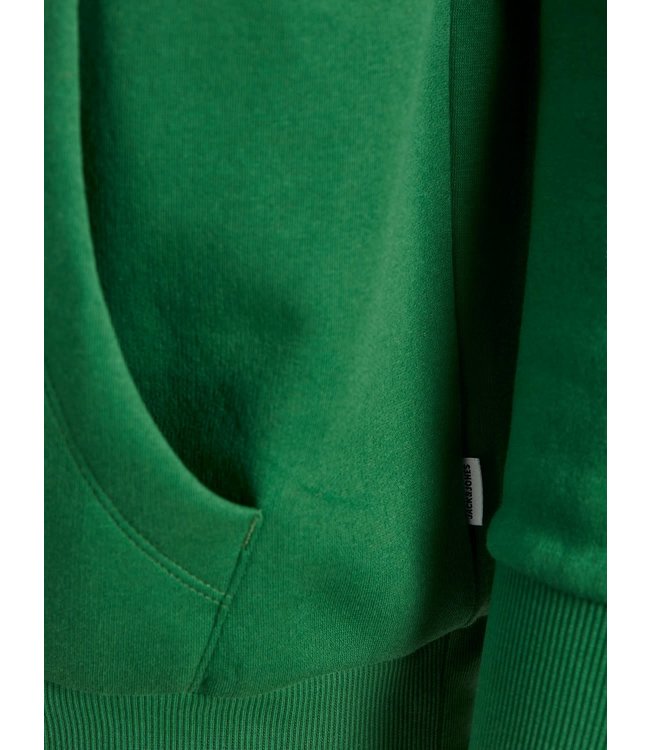 Jack & Jones Junior JJELOGO SWEAT HOOD 2 COL 21/22
