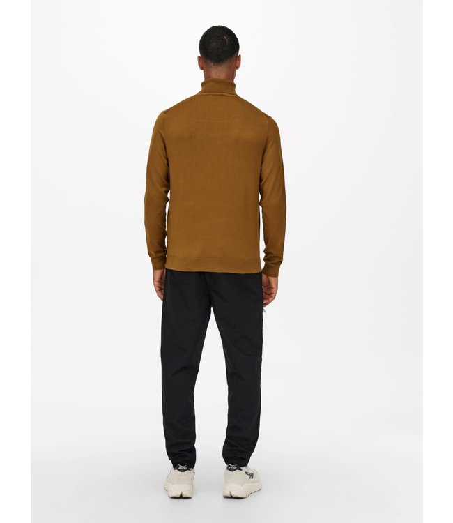 Only & Sons ONSWYLER LIFE ROLL NECK KNIT