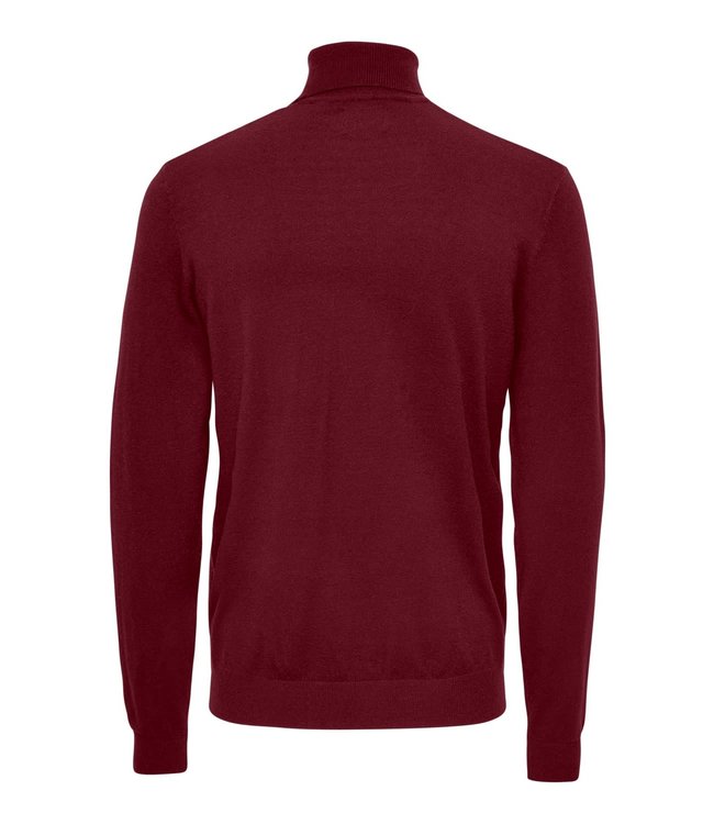 Only & Sons ONSWYLER LIFE ROLL NECK KNIT
