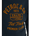 Petrol Boys Sweater Round Neck Print