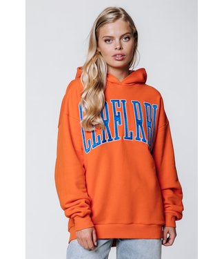 Colourful Rebel CLRFL RBL Patch Oversized Clean Hoodie