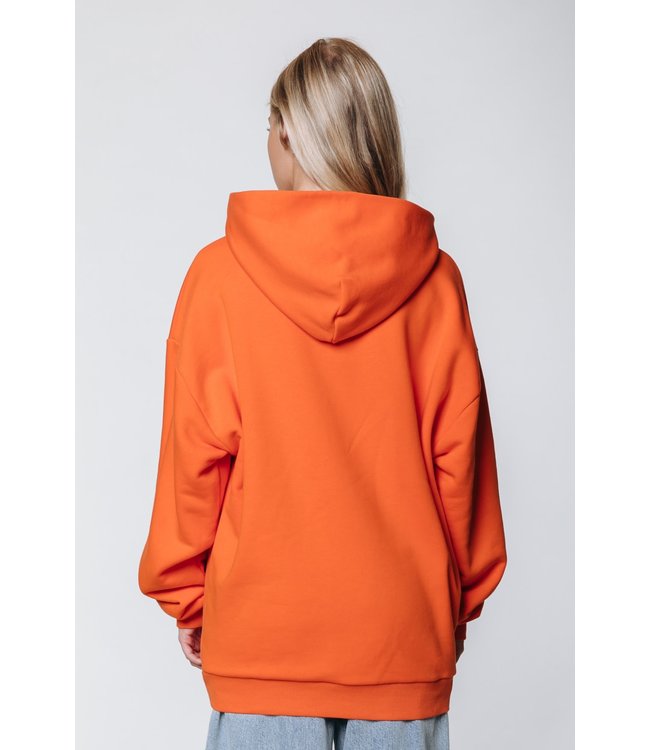 Colourful Rebel CLRFL RBL Patch Oversized Clean Hoodie