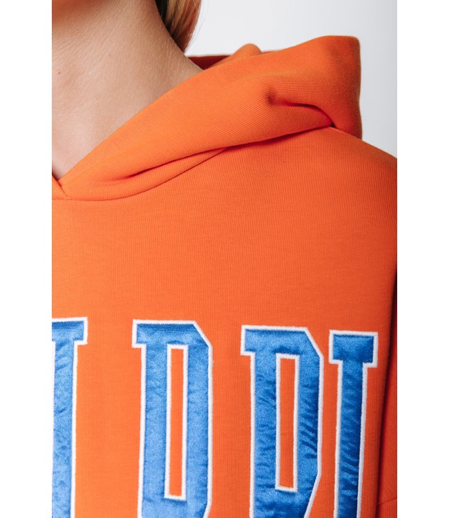 Colourful Rebel CLRFL RBL Patch Oversized Clean Hoodie