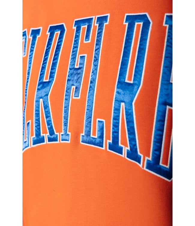 Colourful Rebel CLRFL RBL Patch Oversized Clean Hoodie