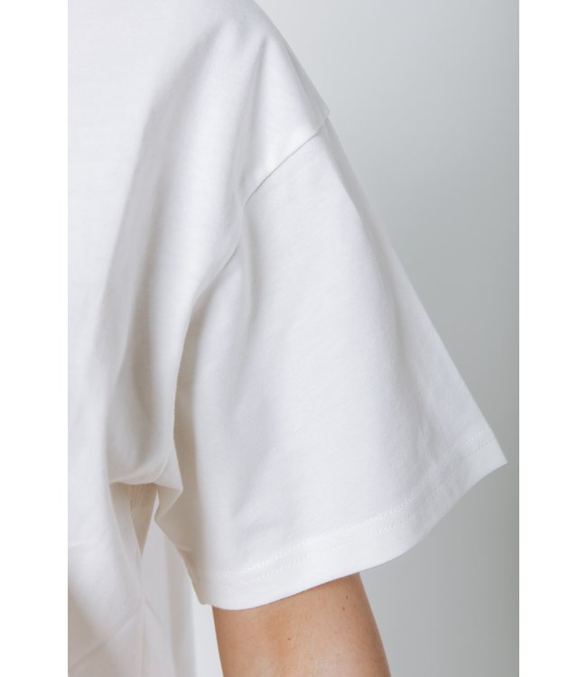 Colourful Rebel Motel Muse Loosefit Tee