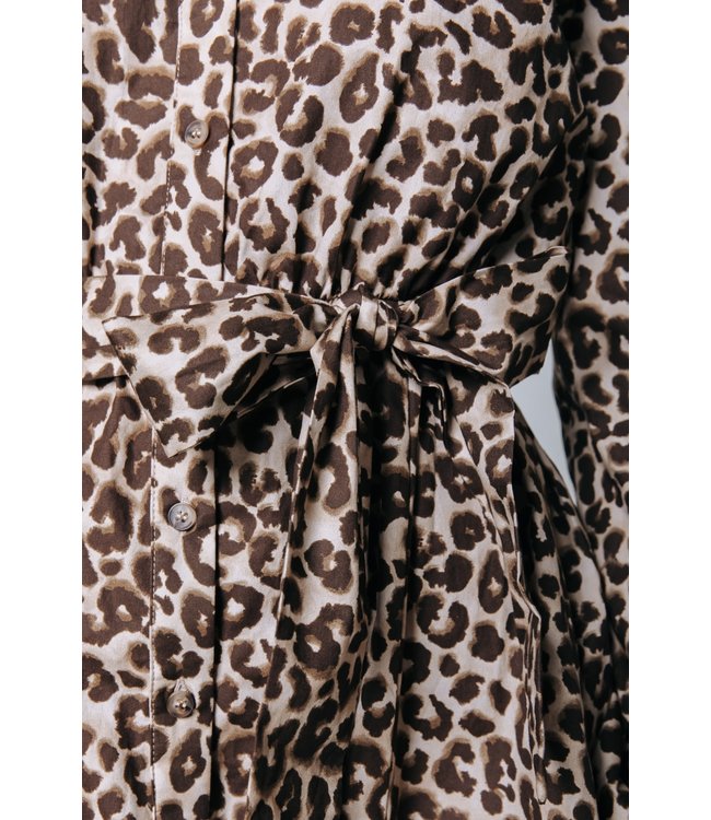 Colourful Rebel Minon Leopard Mini Dress