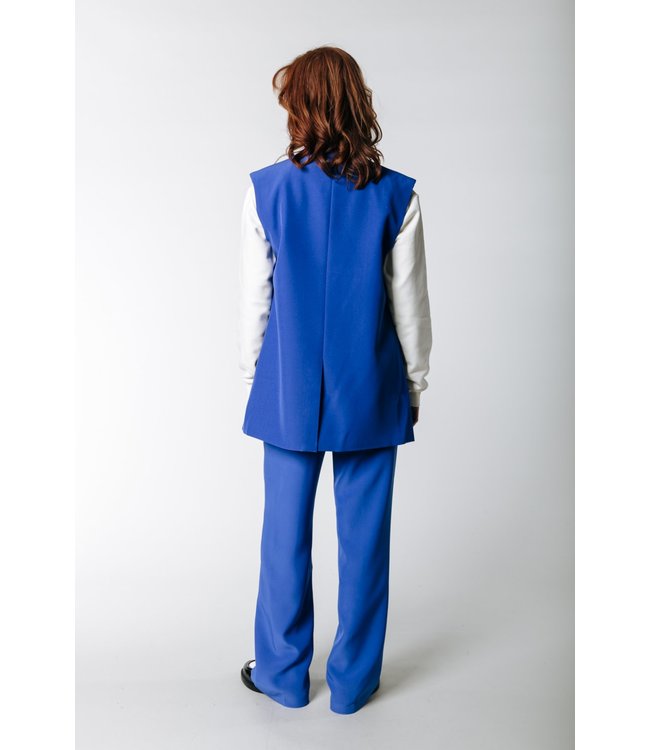 Colourful Rebel Rus Pintuck Straight Pants