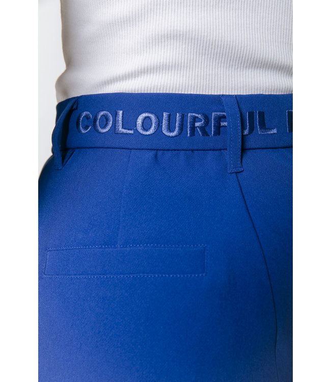 Colourful Rebel Rus Pintuck Straight Pants