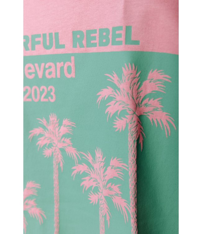 Colourful Rebel Boulevard Car Boxy Tee