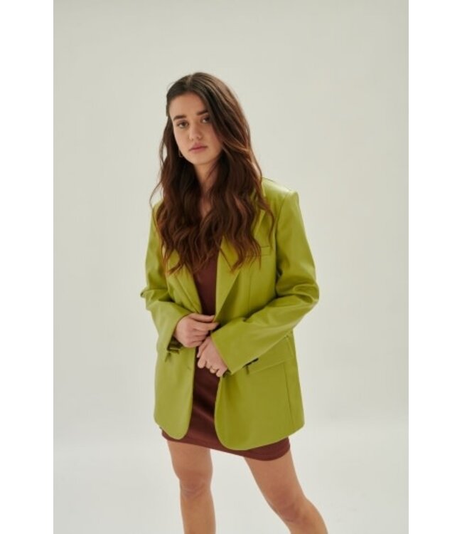 24Colours Colbert frog