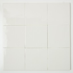 Frisiantiles Friese witjes 10x10 rustig klassiek