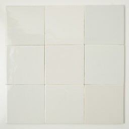 Frisiantiles Friese witjes bonte mix