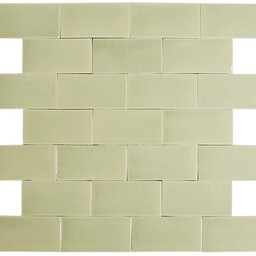 Frisiantiles Friese witjes craquelé mos groen