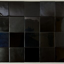 Frisiantiles Friese witjes oud zwarte mix