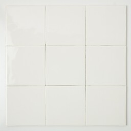 Frisiantiles Friese witjes wit