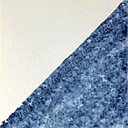 Frisiantiles Plinttegel diagonaal