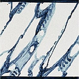 Frisiantiles Plinttegel marmer met rand