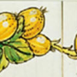 Frisiantiles Randdecor kruisbes