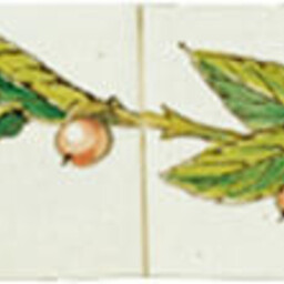 Frisiantiles Randdecor rode bes