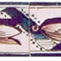 Frisiantiles Randdecor tulpenlintlijst