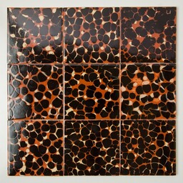 Frisiantiles Schildpadtegels