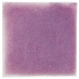 Frisiantiles Tegels Art deco krokuspaars