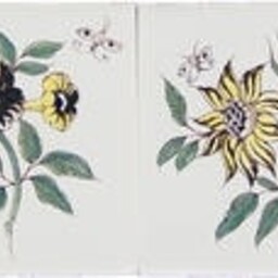 Frisiantiles Tegels bloemen groot kleur 13-16