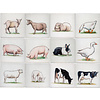 Tegels boerderijdieren kleur 1-12