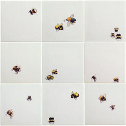 Frisiantiles Tegels hommels 1-9