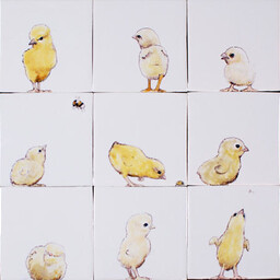 Frisiantiles Tegels kuikens 1-9