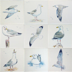 Frisiantiles Tegels meeuwen kleur 1-7