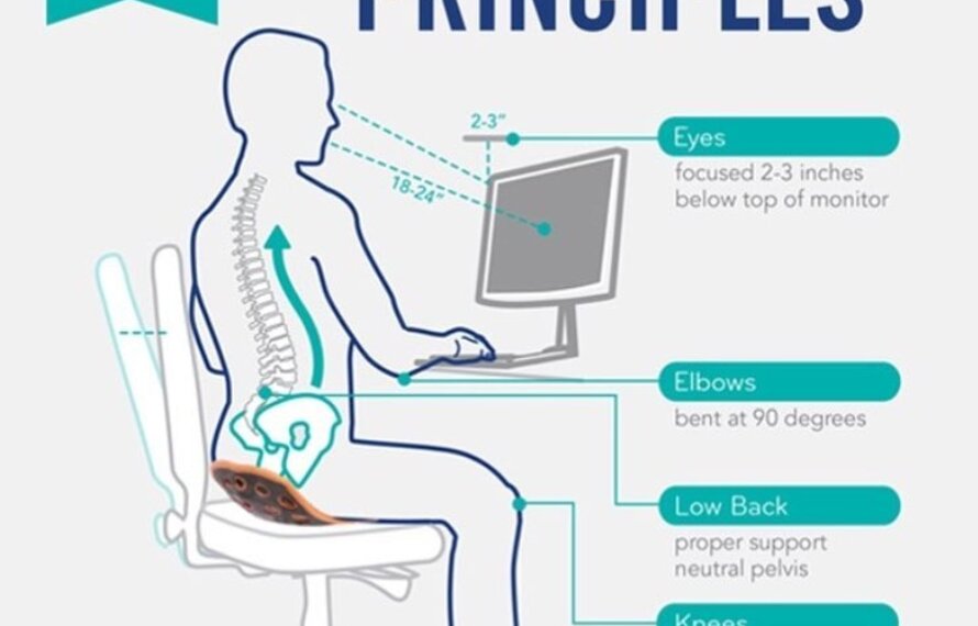 What is good posture? - Backjoy Europe