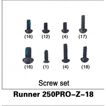 Walkera Walkera Runner 250PRO-Z-18 screw set afbeelding