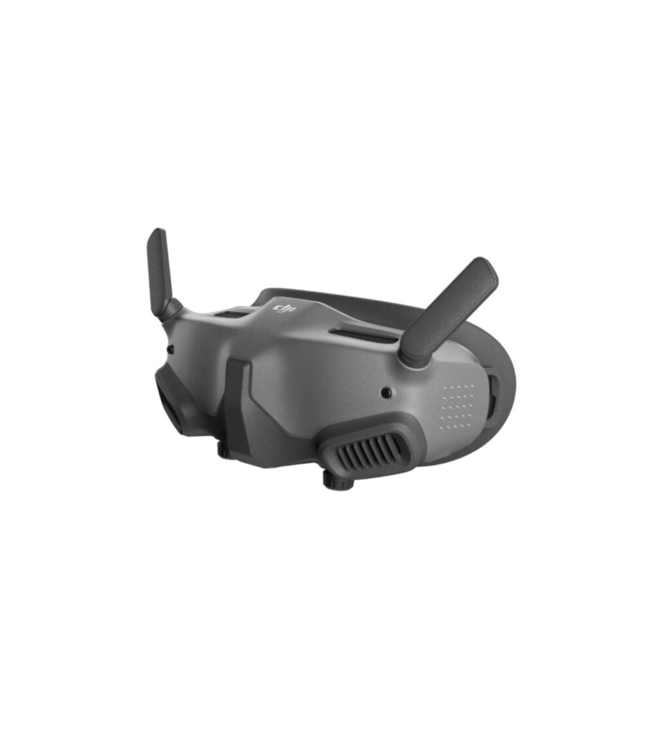 DJI Goggles 2 en RC Motion 2 controller