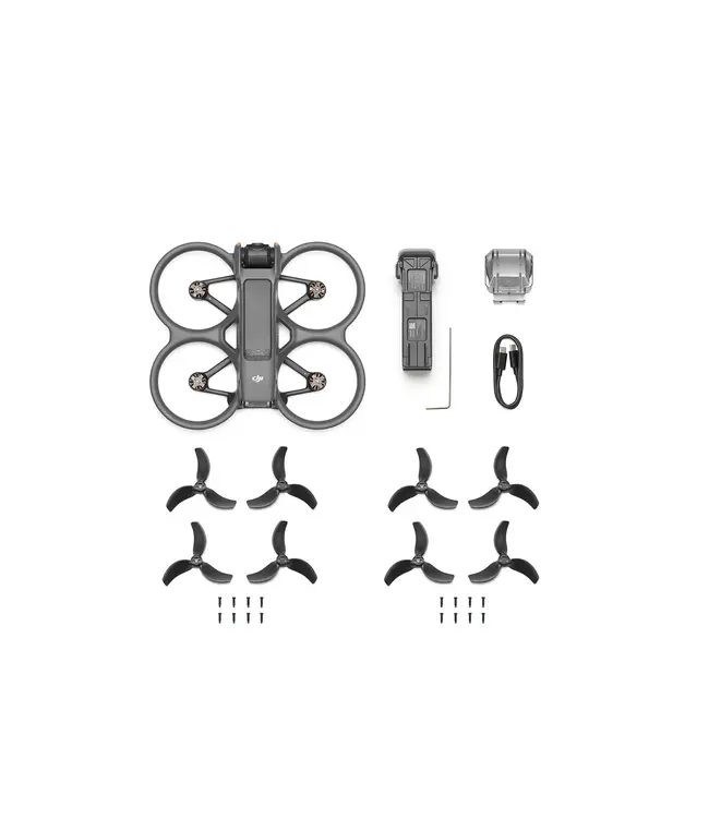 Tweedekans - DJI Avata 2 PRO VIEW combo - incl FPV Goggle 2 - RC motion 2