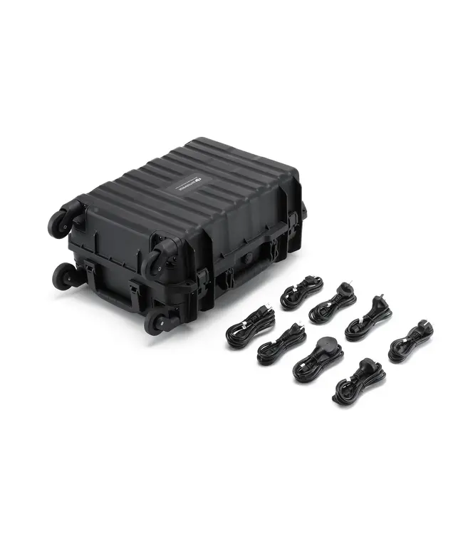 DJI BS100 Intelligent Battery Station