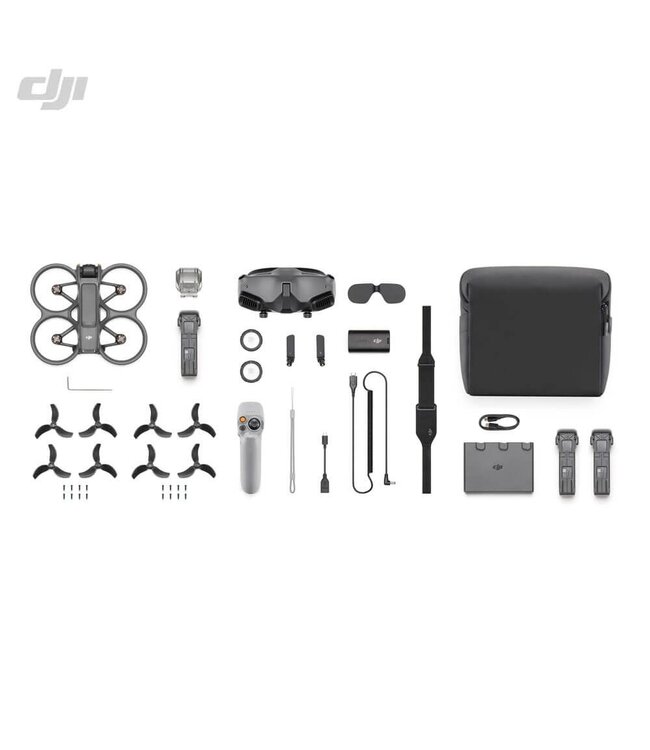 Tweedekans - DJI Avata 2 PRO VIEW combo - incl FPV Goggle 2 - RC motion 2
