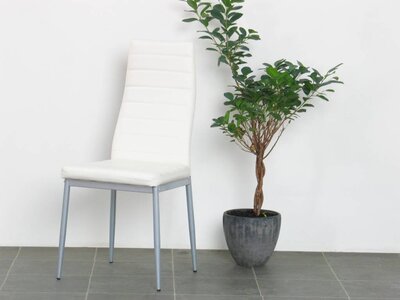 Witte stoel Joan eetkamerstoel wit