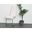 Fiesta stoel wit design eetkamerstoel